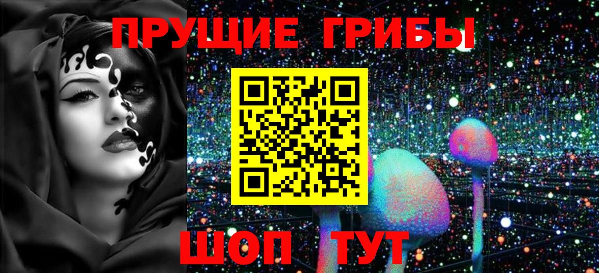 Галлюциногенные грибы прущие грибы Кореновск